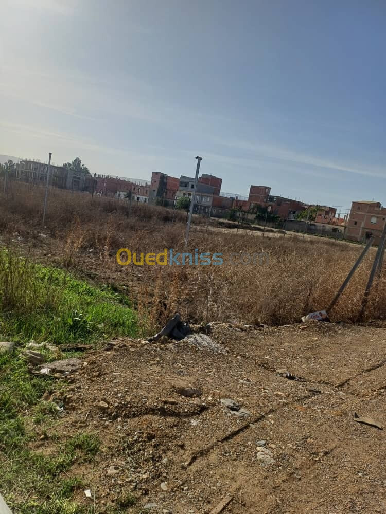 Vente Terrain Alger Dar el beida