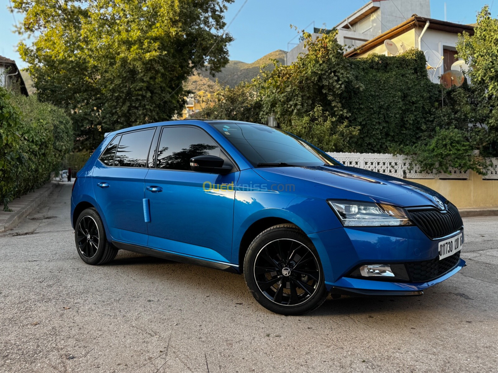 Skoda Fabia 2020 Monte Carlo