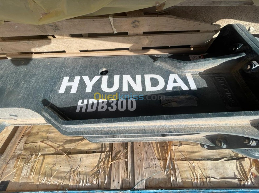 Hyundai HDB 300 