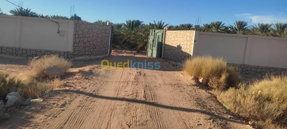 Vente Terrain Agricole Ouargla Hassi ben abdellah