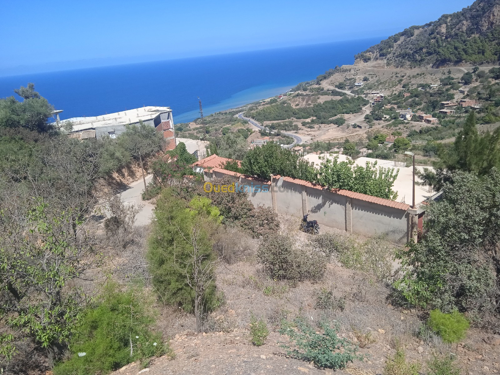 Vente Terrain Tipaza Larhat