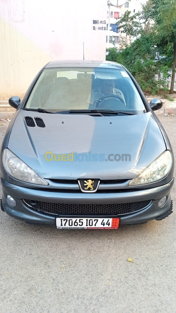 Peugeot 206 2007 206