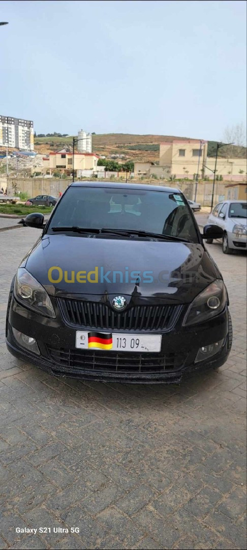 Skoda Fabia 2013 Monte carlo