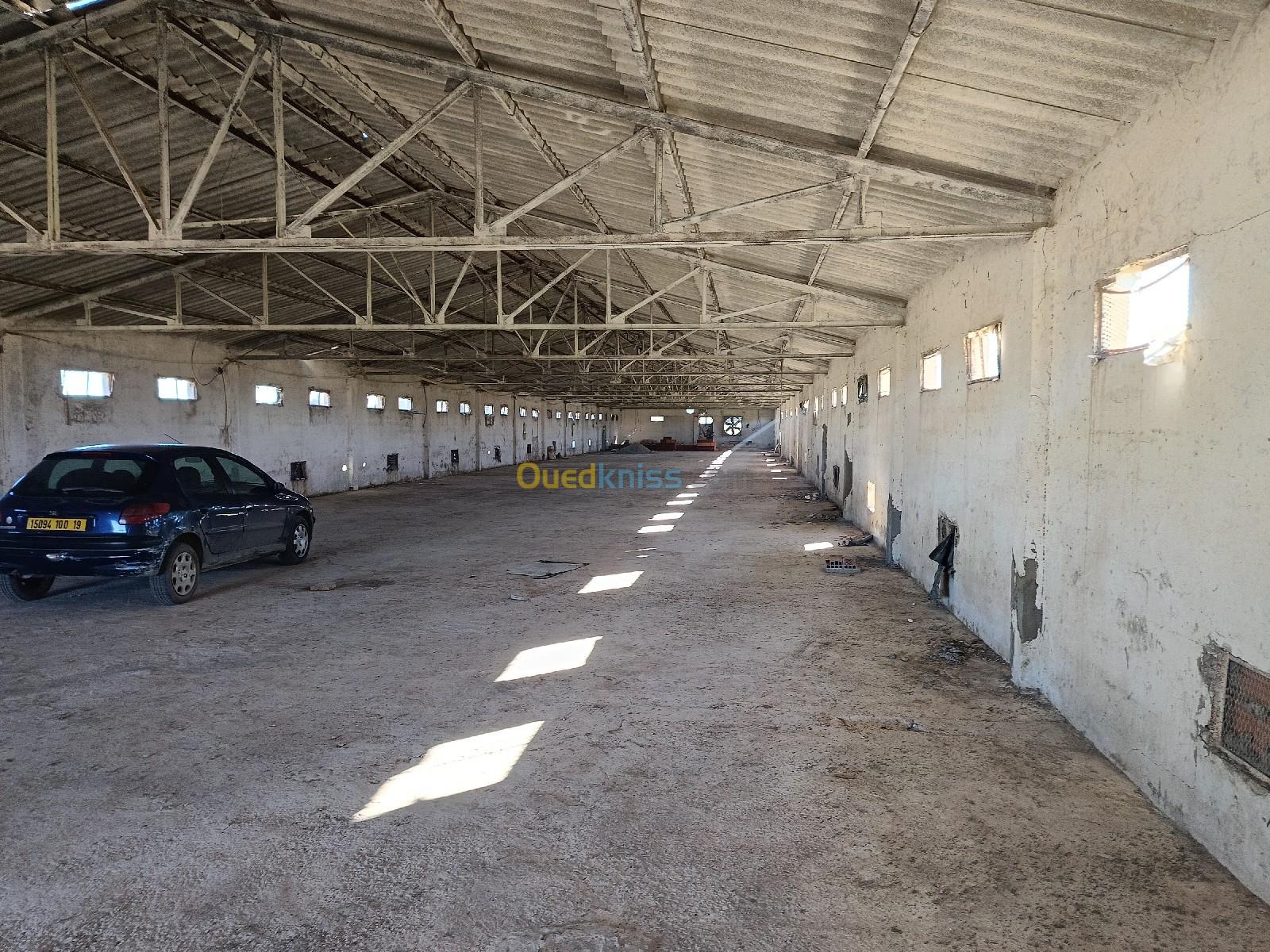 Location Hangar Sétif Mezloug