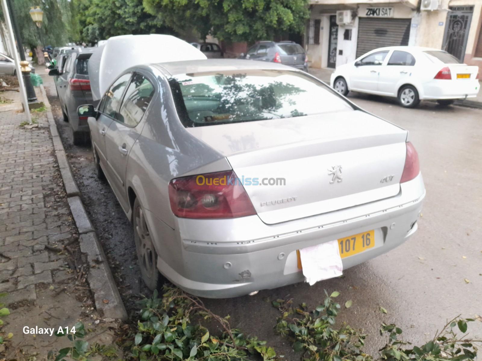 Peugeot 407 2007 407