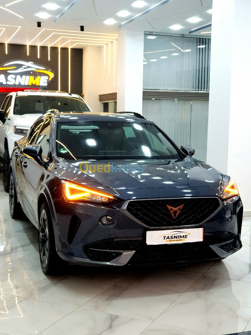 Seat Cupra 2022 FORMENTOR