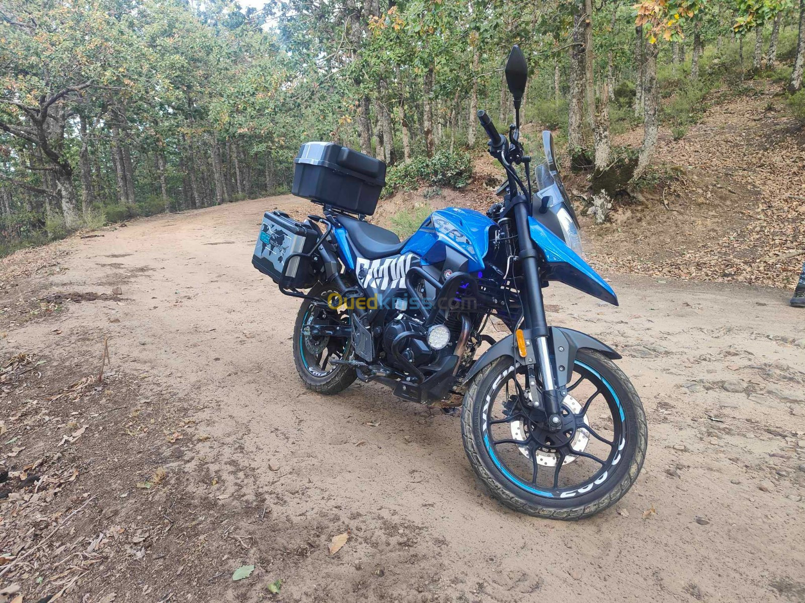 Vms Rk 200cc 2022 