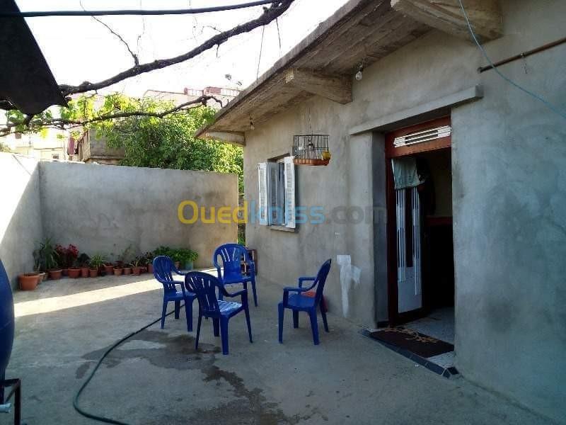 Vente bien immobilier Jijel Chekfa