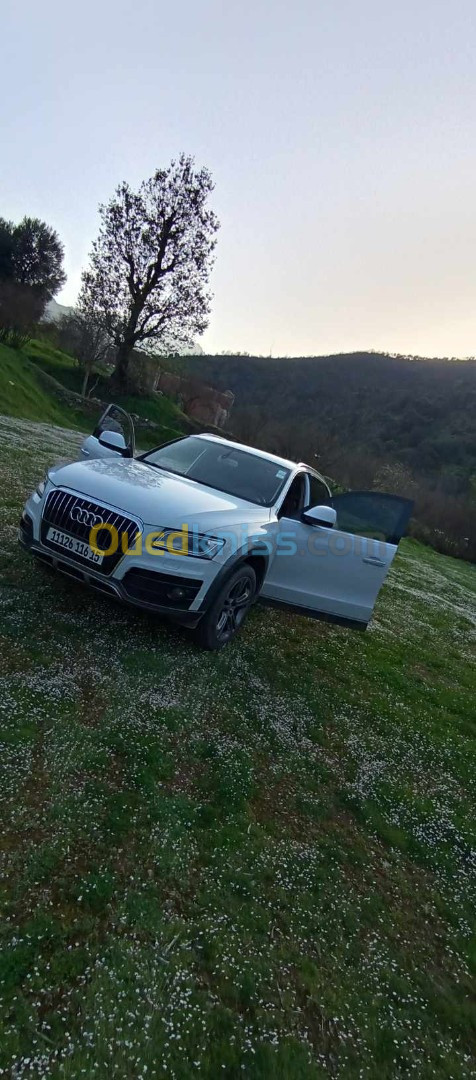 Audi Q5 2016 Off Road