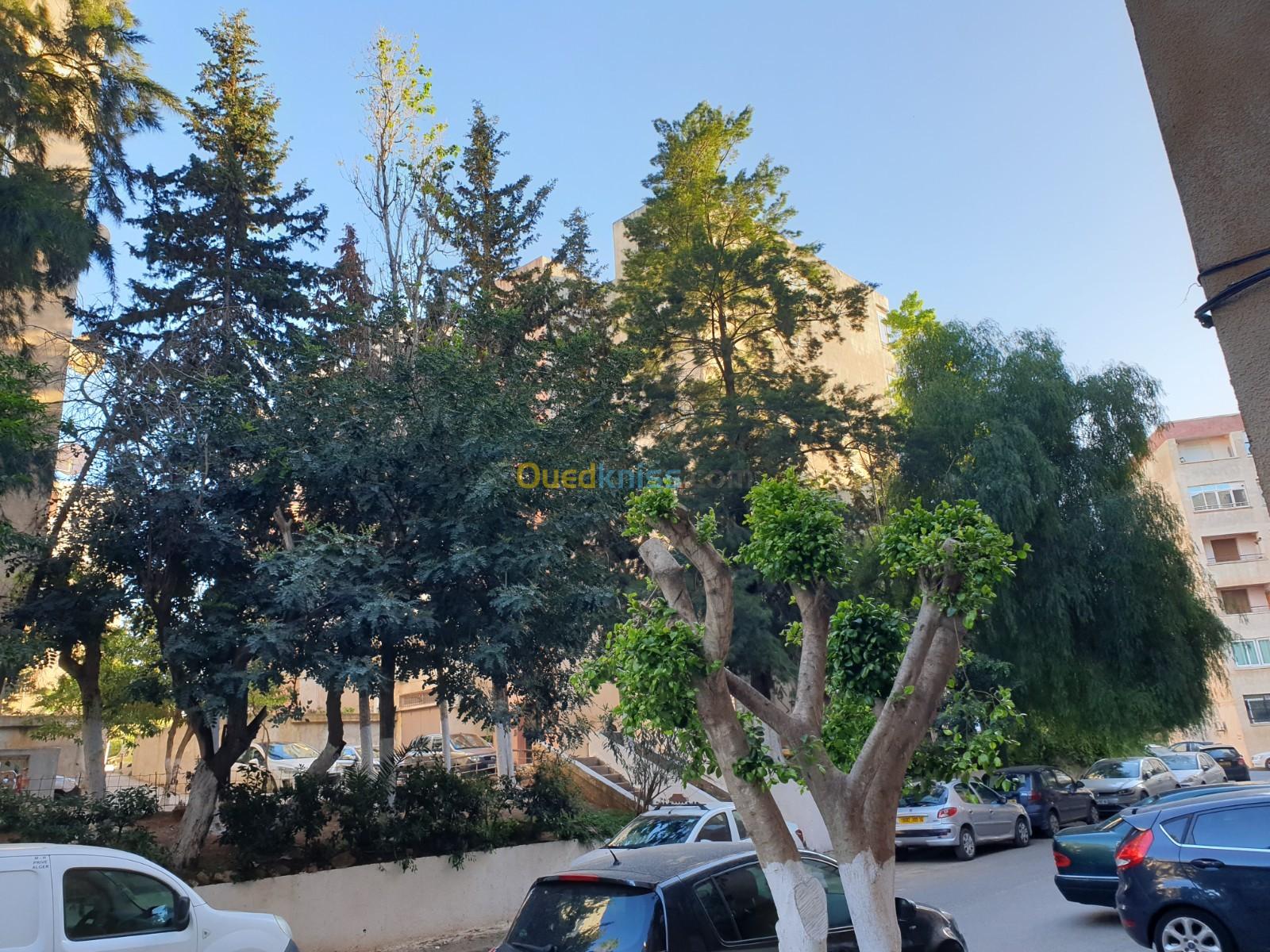 Location Appartement F4 Alger Ben aknoun