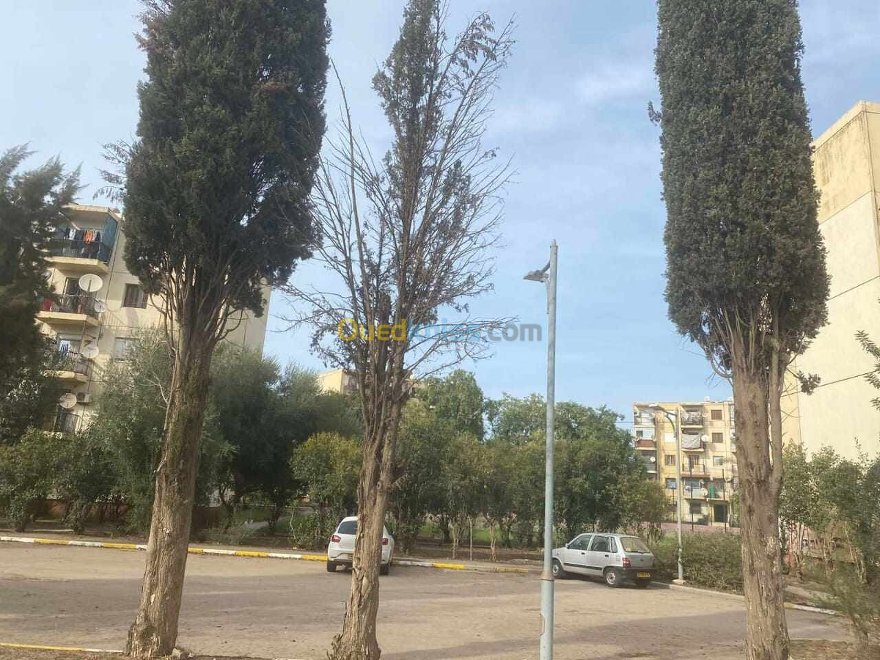 Vente Appartement F3 Alger Sidi moussa