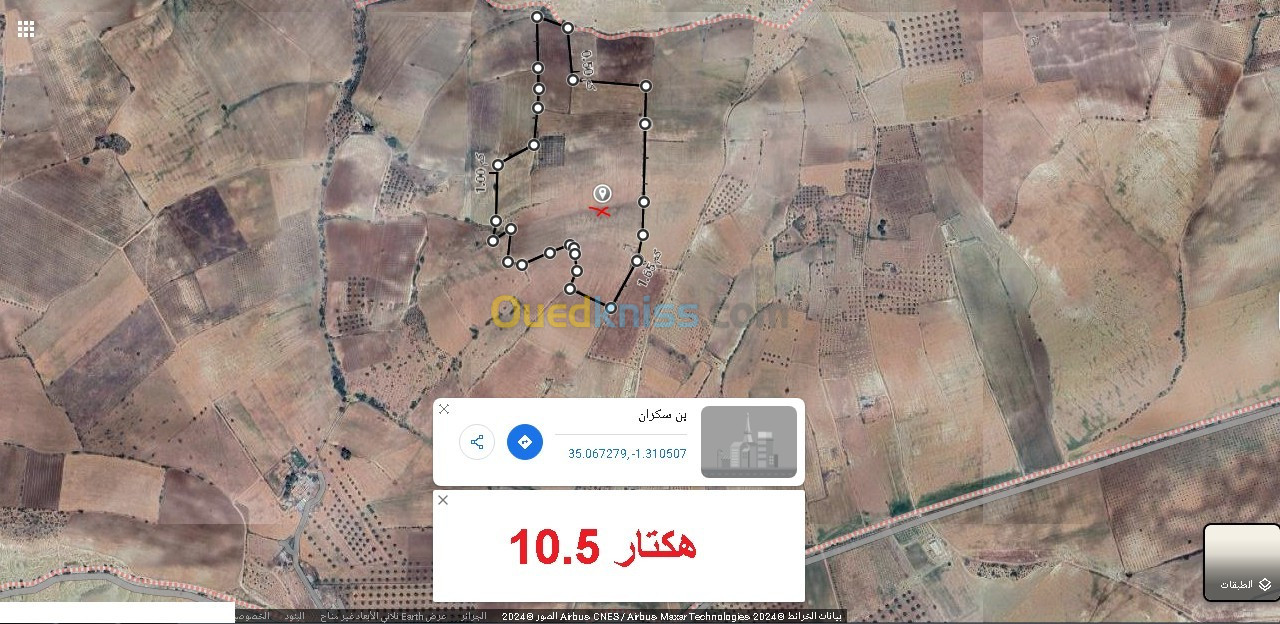 Vente Terrain Agricole Tlemcen Bensekrane