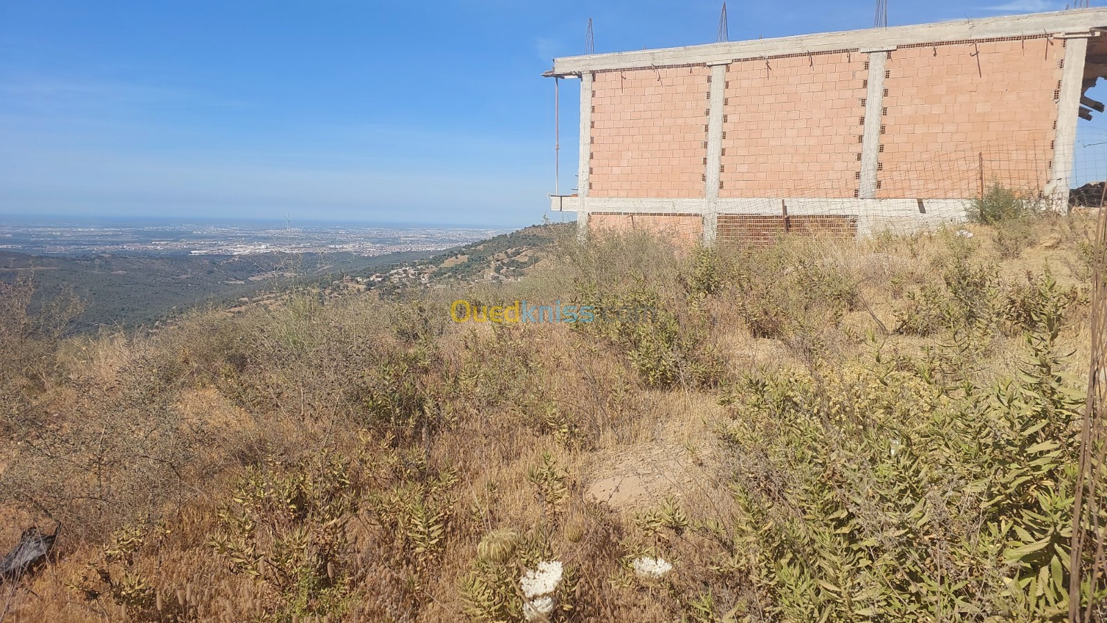 Vente Terrain Blida Djebara