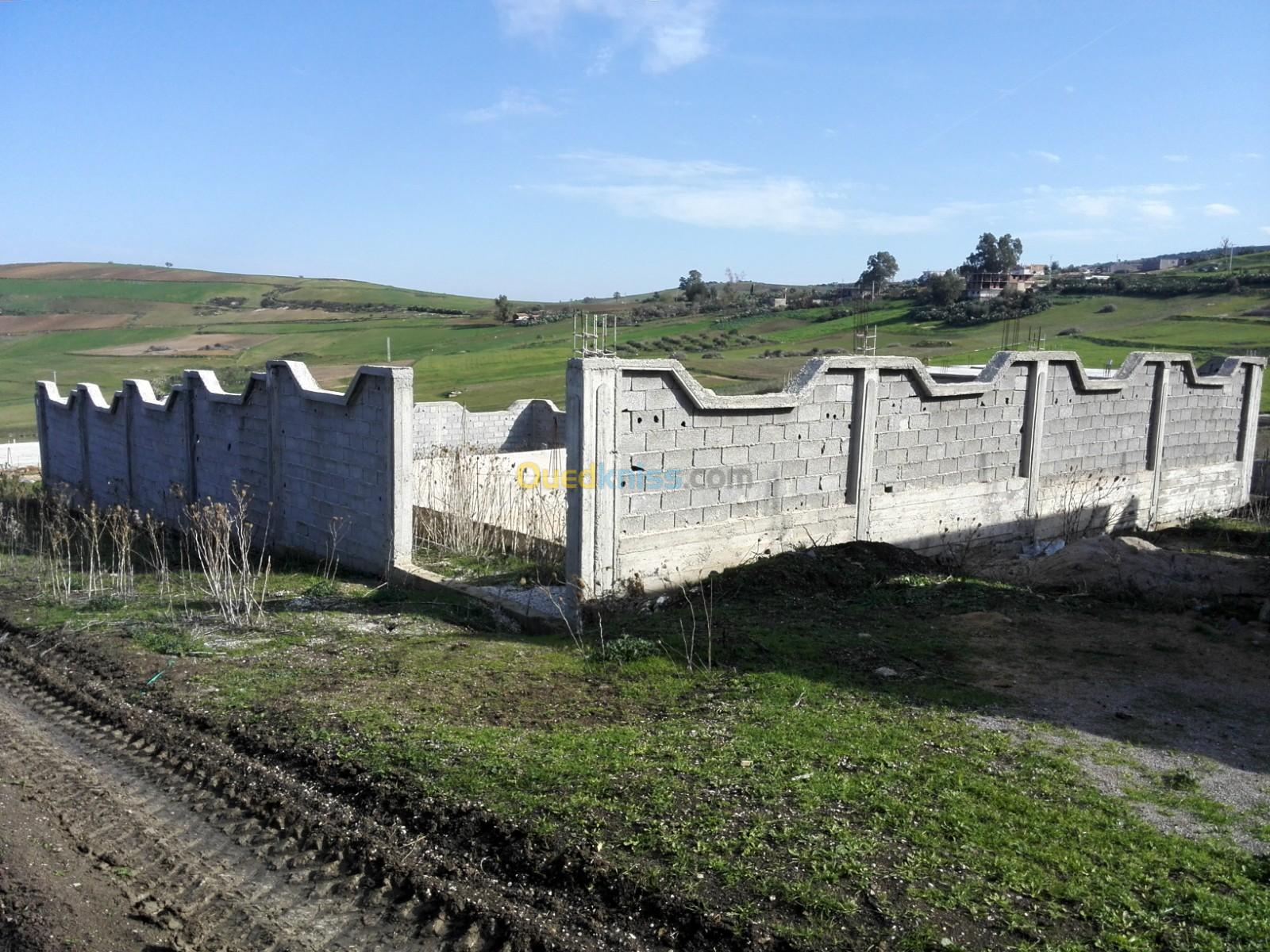 Vente Carcasse Skikda Sidi mezghiche