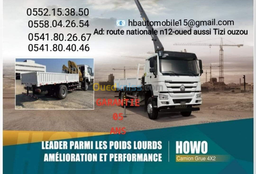 HOWO CAMION GRUE 2024