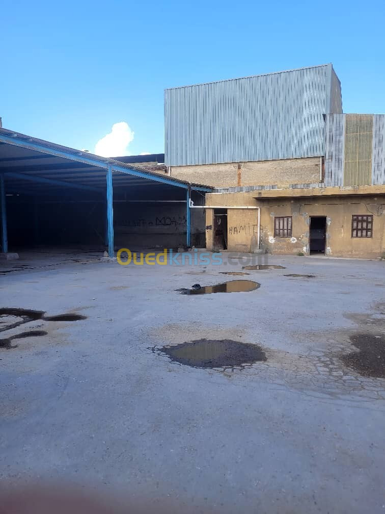 Location Hangar Alger Dar el beida