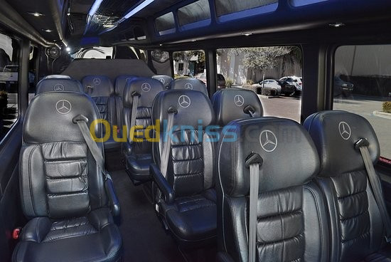 Tunisie - 08 Jours Transport Van Mercedes VIP Hôtels au choix À 55.000 Da