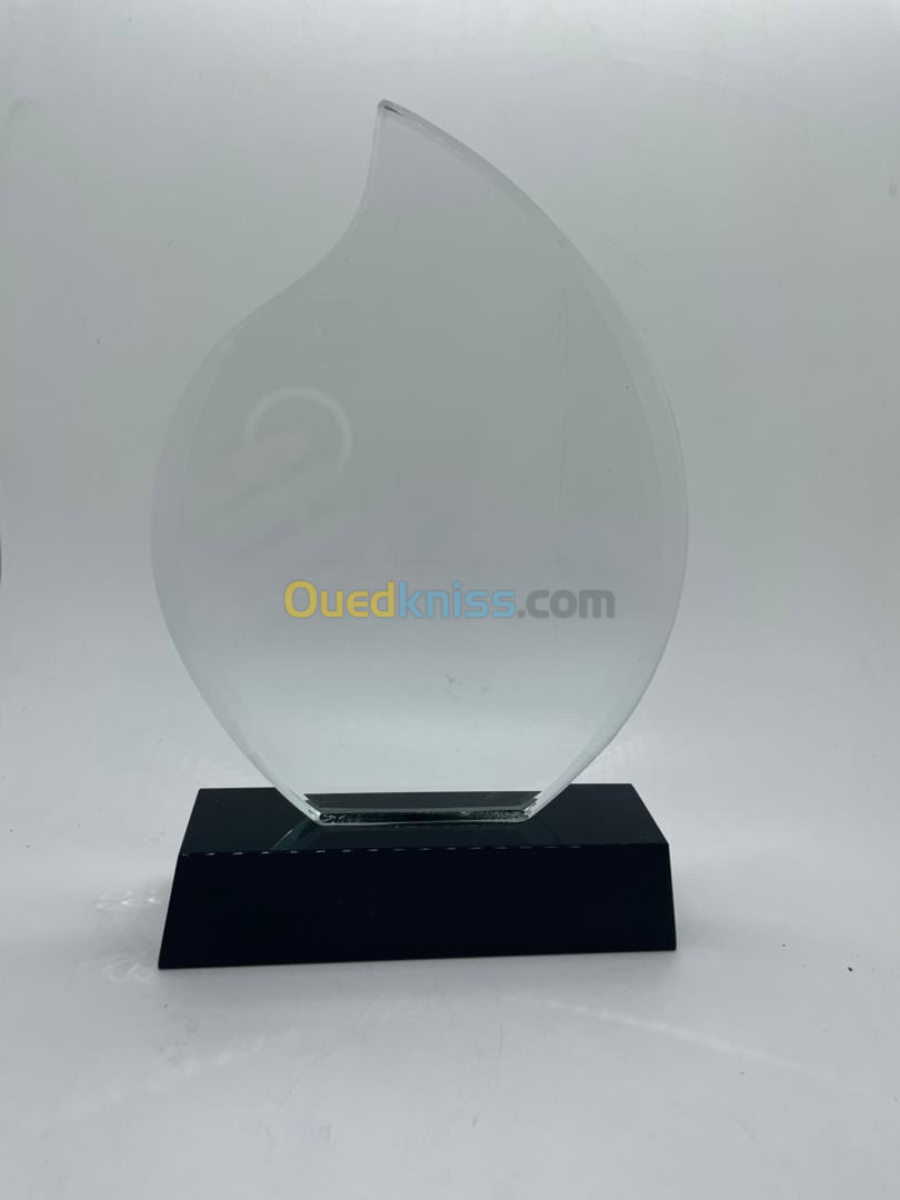 Trophées cristal UV en gros 