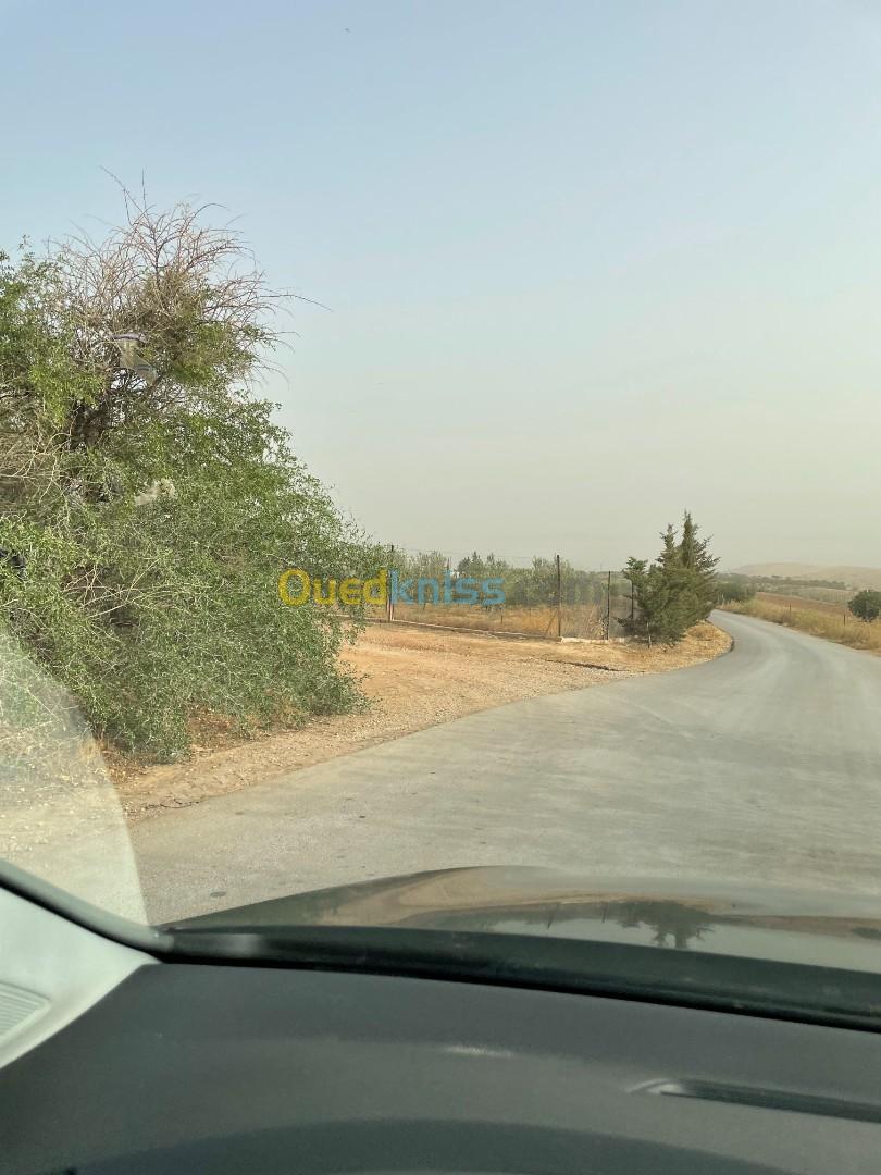 Vente Terrain Agricole Tlemcen Sidi abdelli