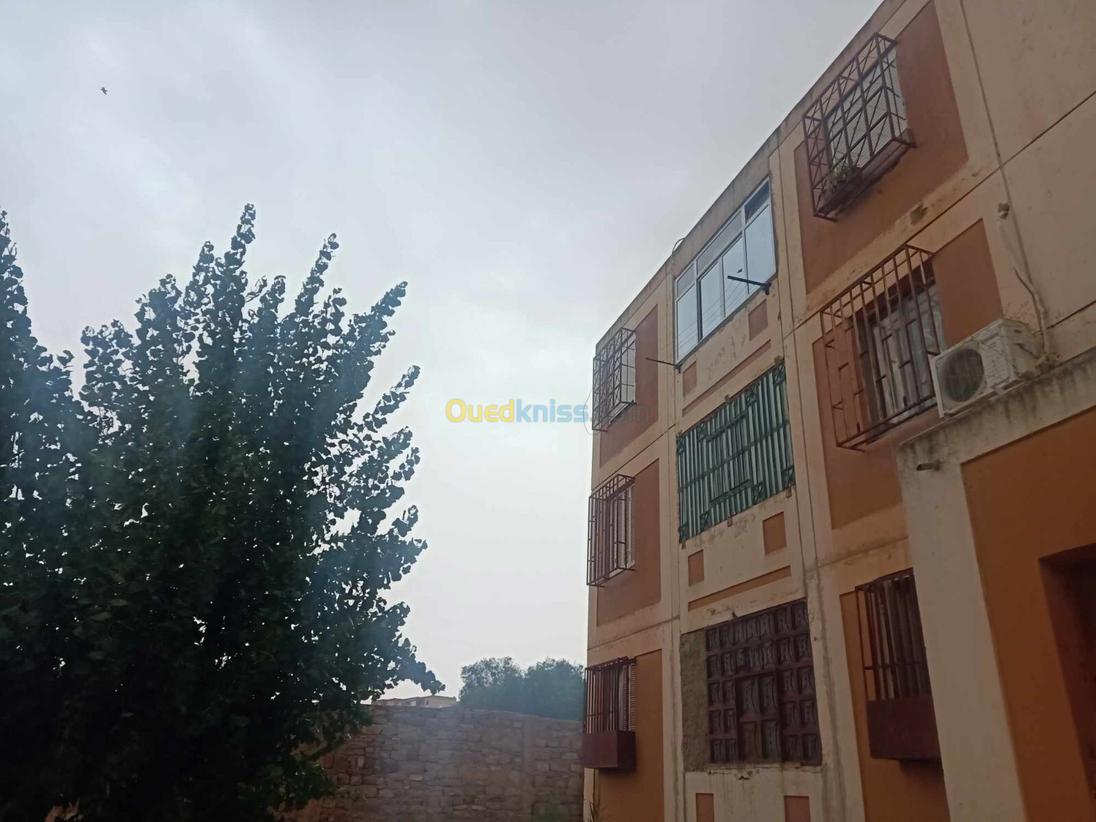 Vente Appartement F3 Tiaret Tiaret