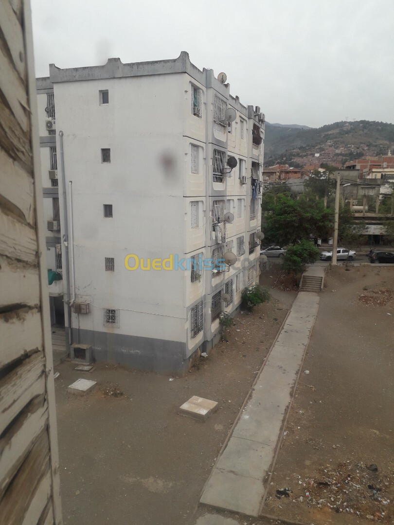 Location Appartement F3 Blida Ouled yaich