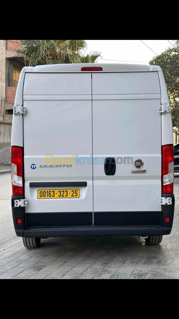 ducato Fiat 2023