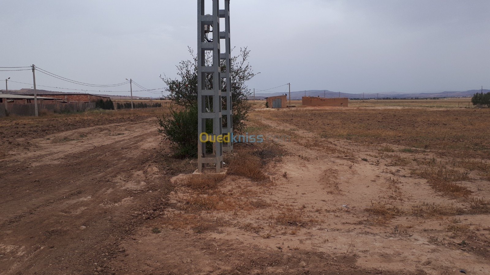 Vente Terrain Agricole Sidi bel abbes Sfissef