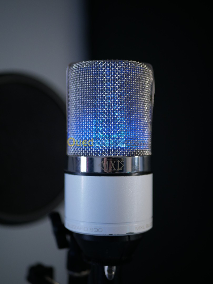 Microphone Professional MXL 990 Blizzard Limited Edition