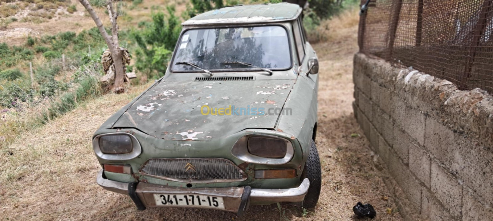 Citroen Ami 8 1971 Ami 8