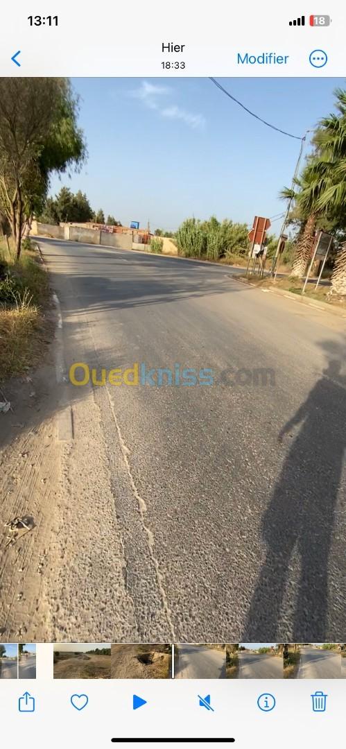 Vente Terrain Alger Ouled chebel