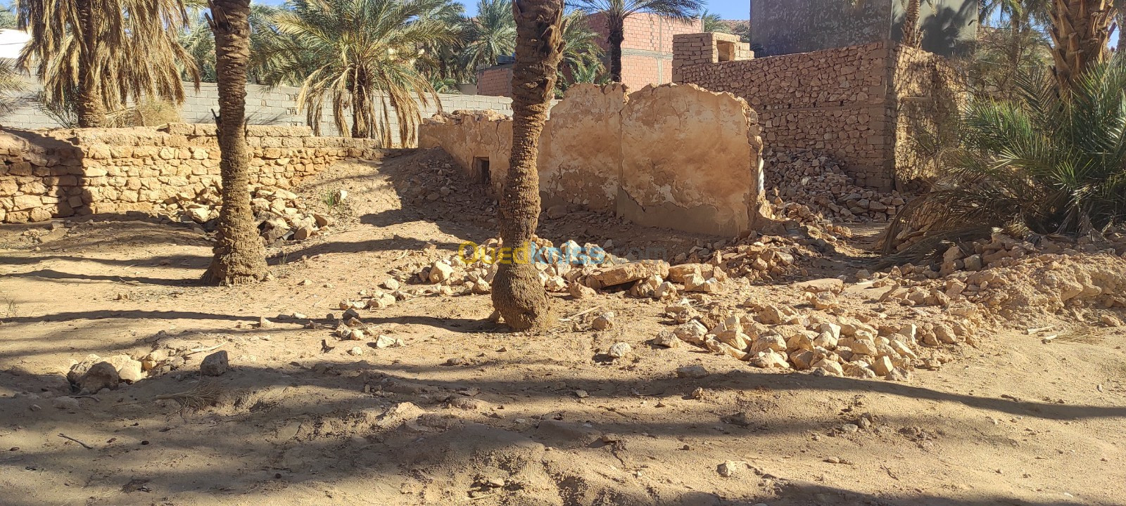 Vente Terrain Ghardaïa Bounoura