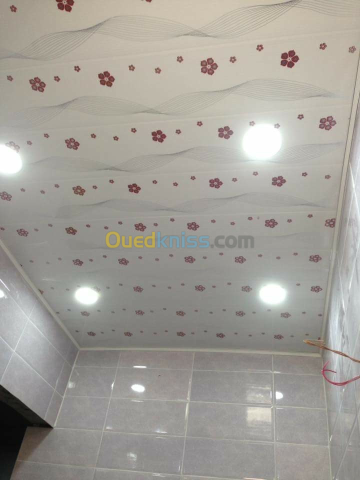 faux plafond pvc & spots