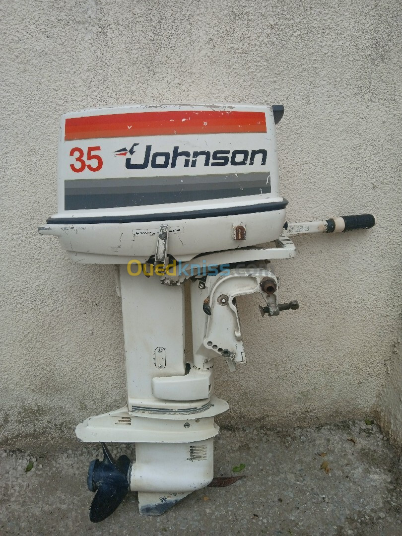 Moteur JOHNSON 35ch court SP