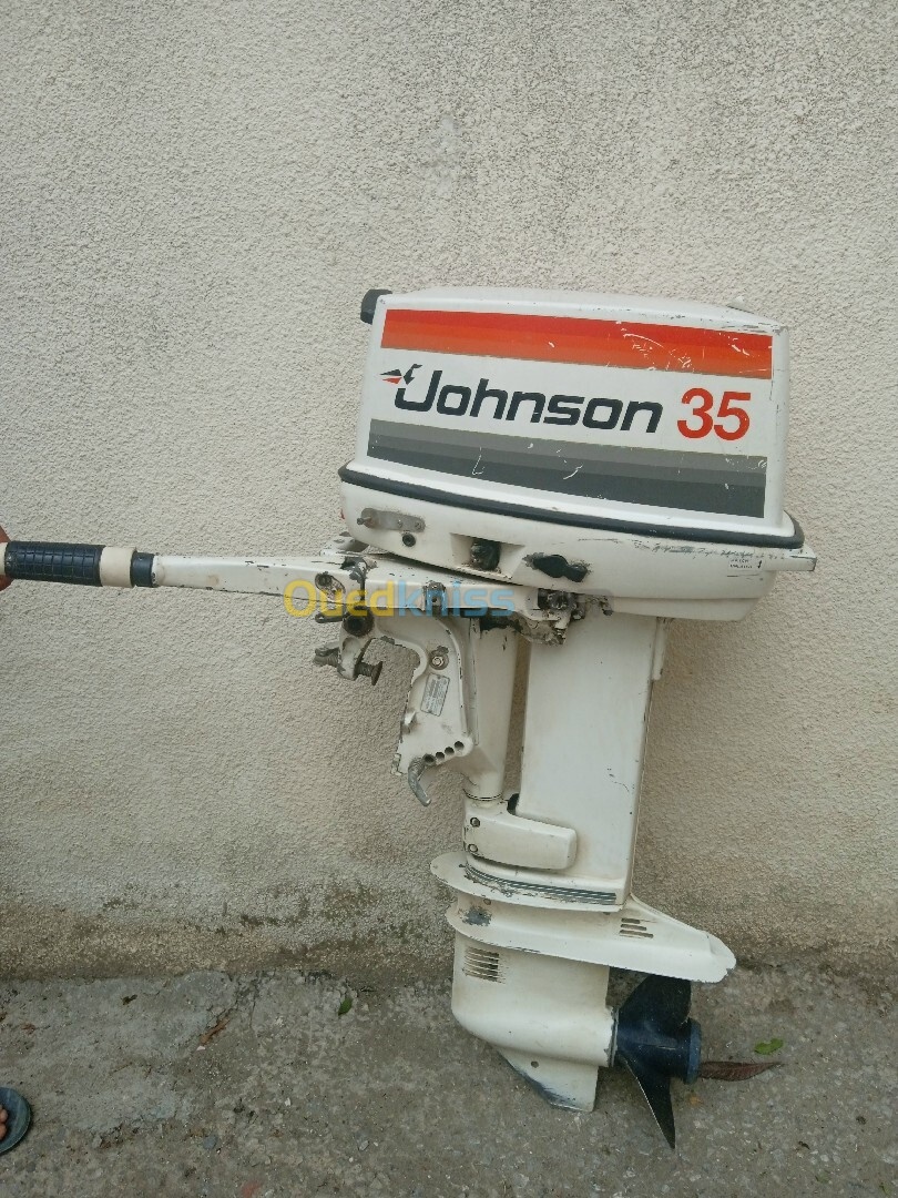 Moteur JOHNSON 35ch court SP