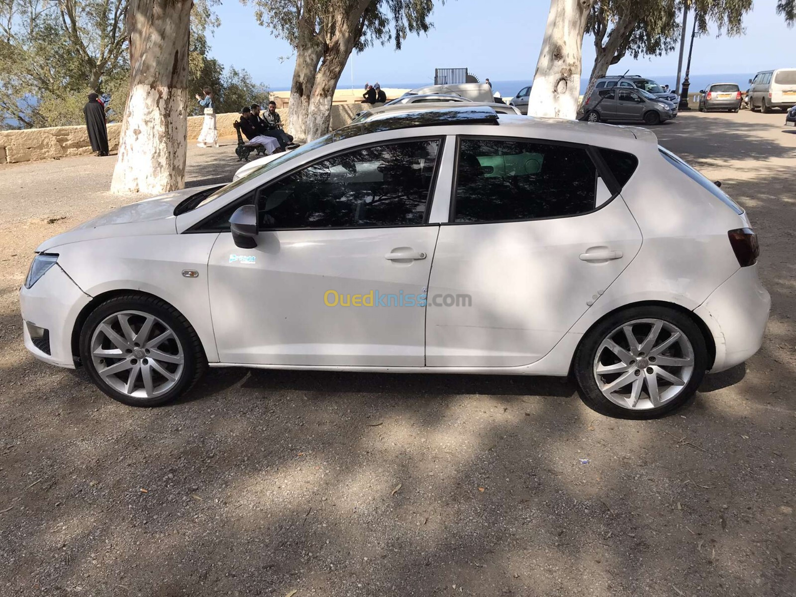 Seat Ibiza 2013 Ibiza