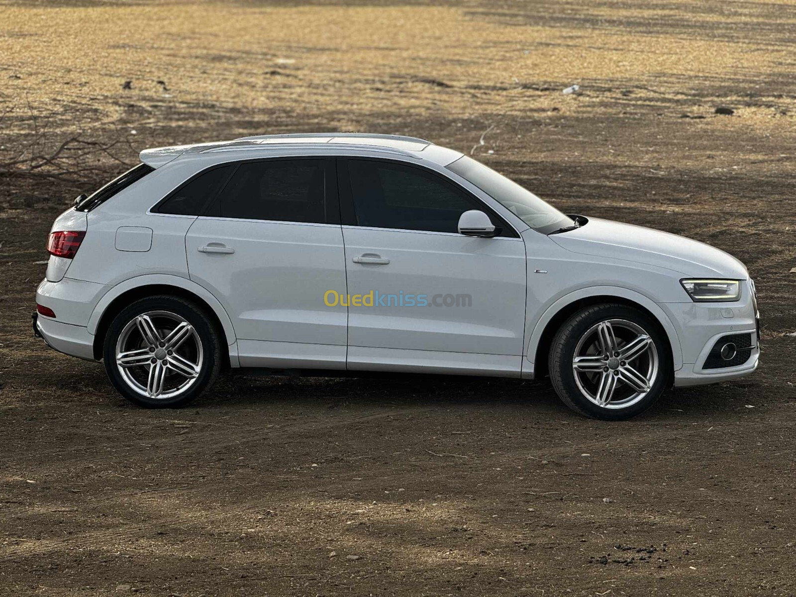 Audi Q3 2013 S Line