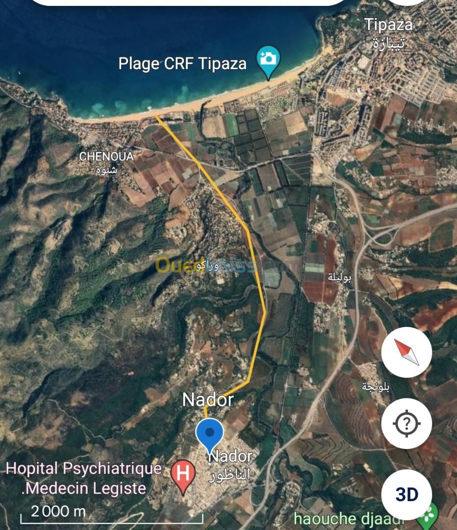 Location Appartement F3 Tipaza Nador