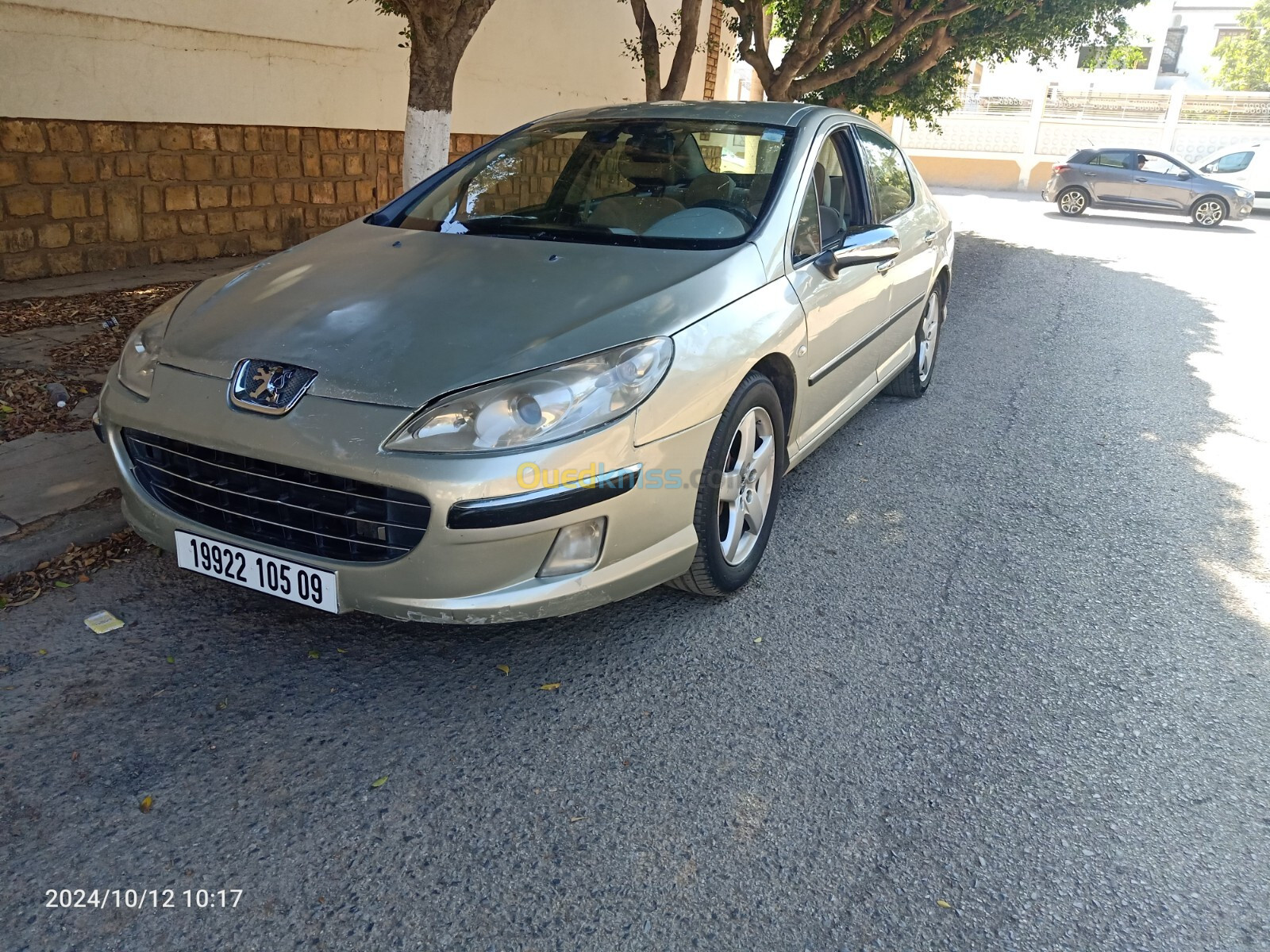 Peugeot 407 2005 407