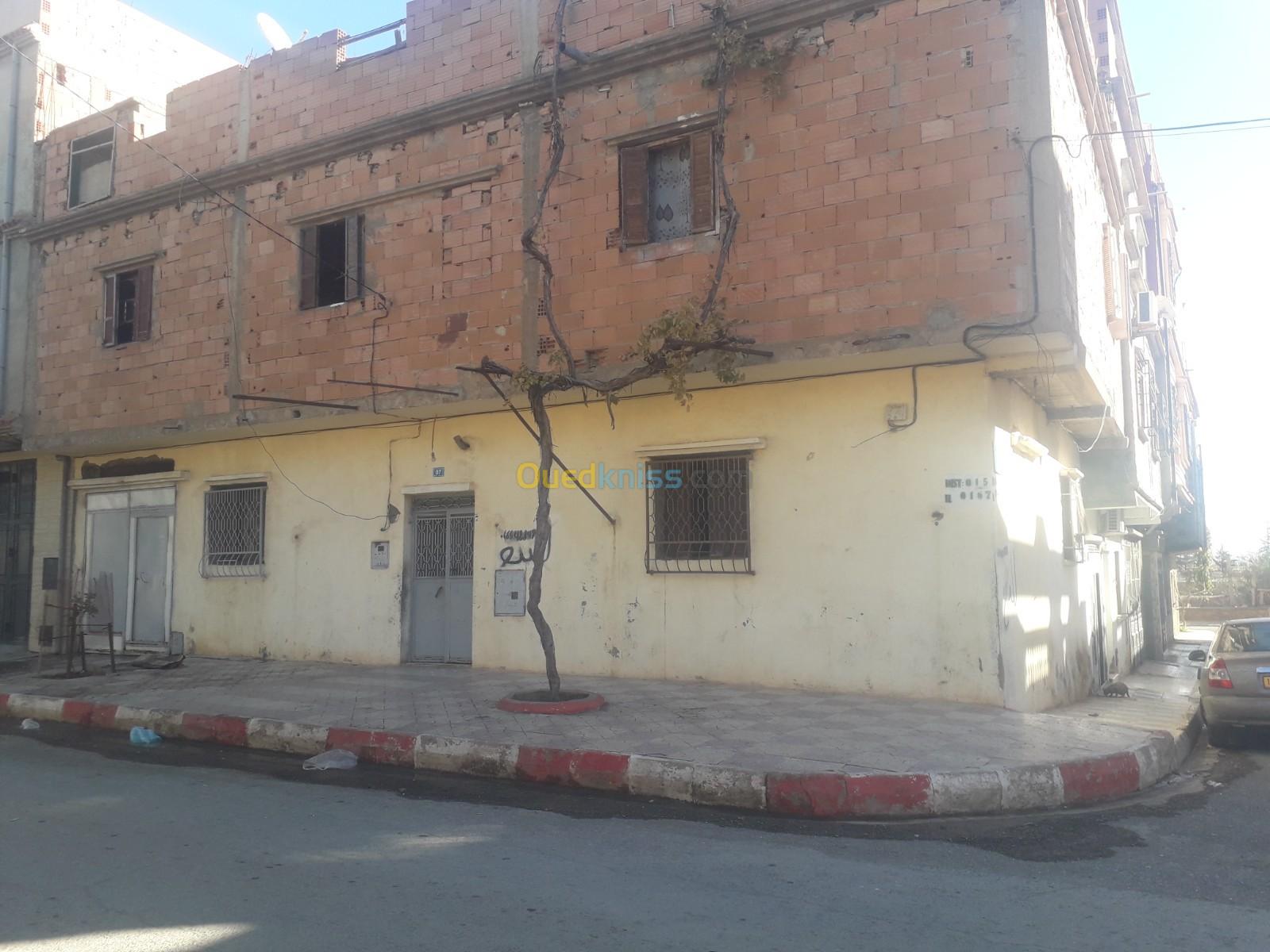 Vente Appartement F7 Sidi Bel Abbès Sidi lahcene