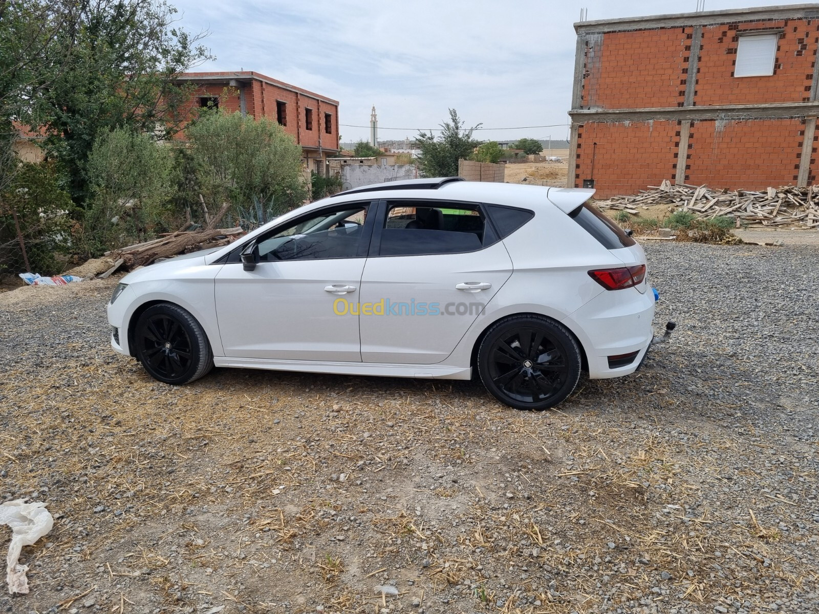 Seat Leon 2015 Lion