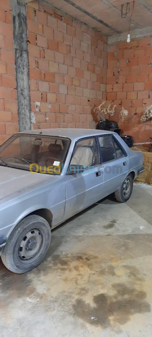 Peugeot 305 1984 305