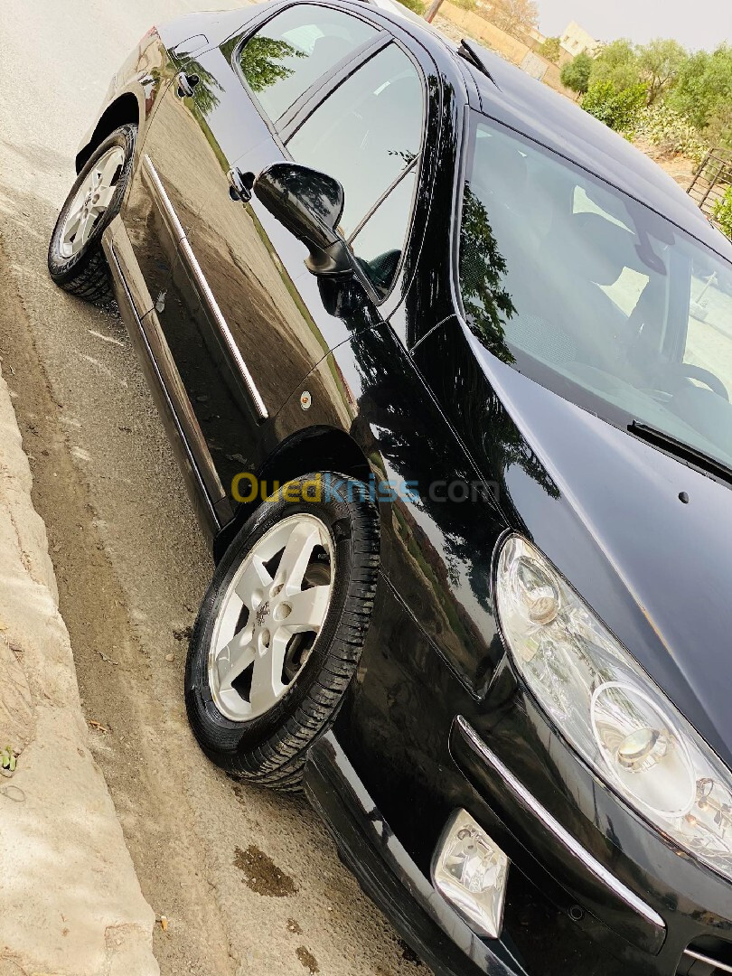 Peugeot 407 2010 407