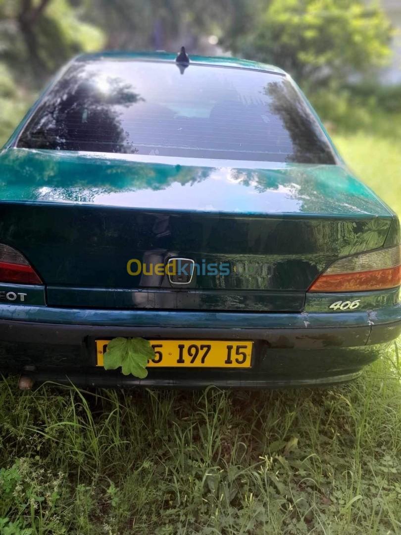 Peugeot 406 1997 406