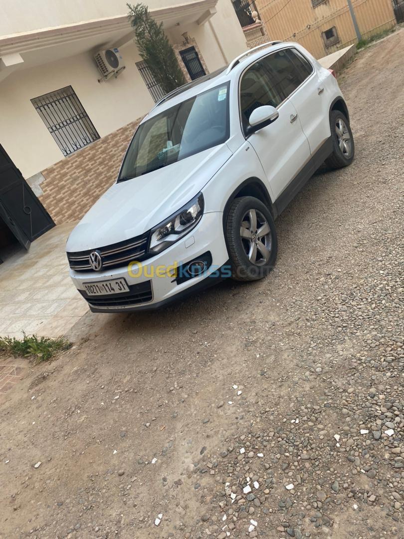 Volkswagen Tiguan 2014 Cup