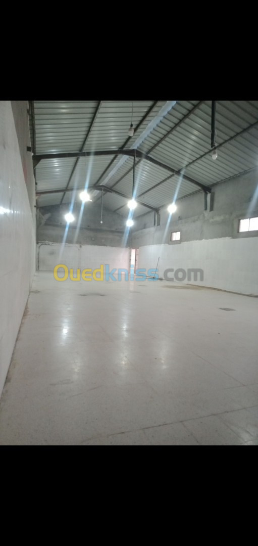 Location Hangar Sétif Ouled sabor