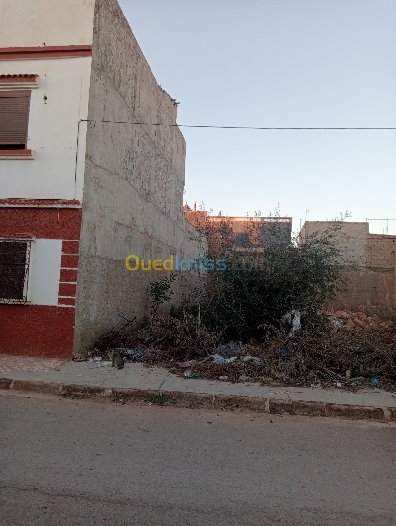 Vente Terrain Mostaganem Mesra