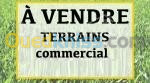 Vente Terrain Alger Bir mourad rais