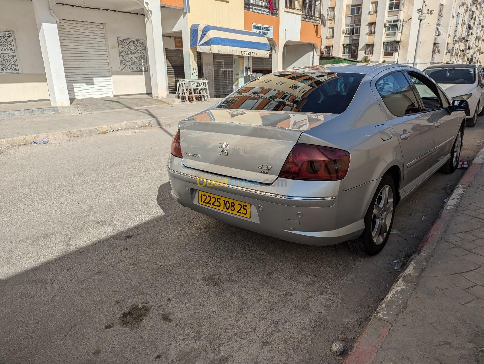 Peugeot 407 2008 