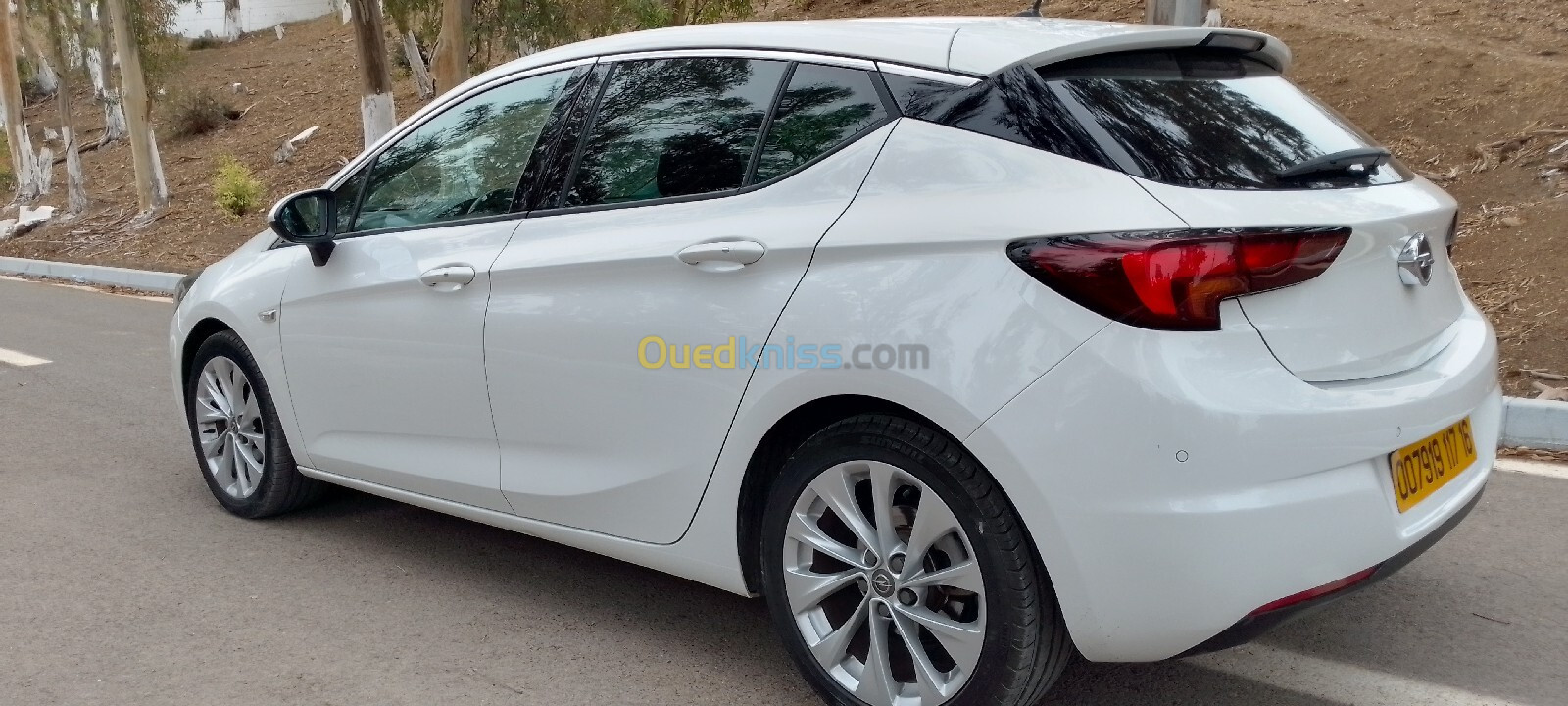 Opel Astra 2017 Astra