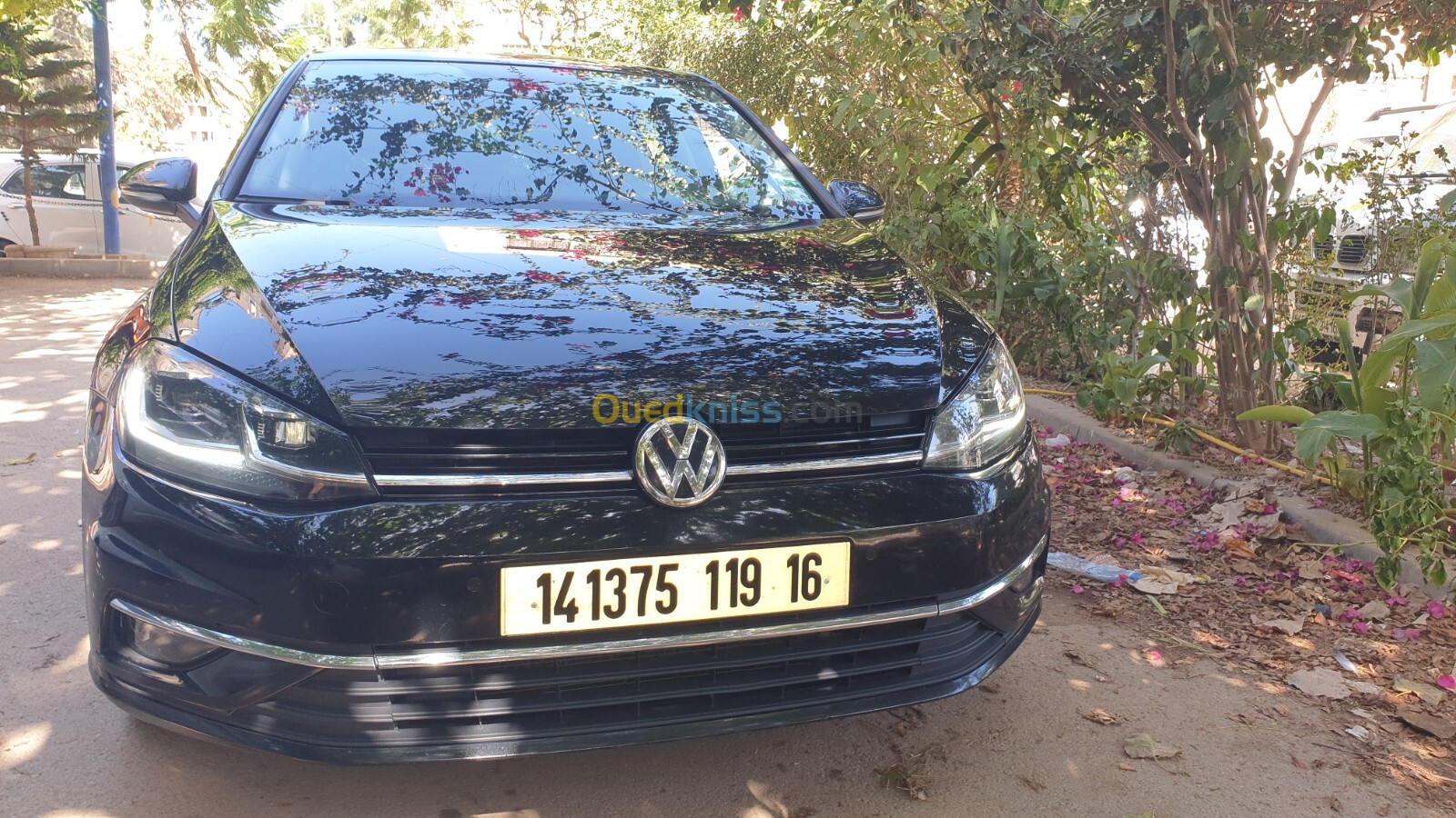 Volkswagen Golf 7 2019 Drive